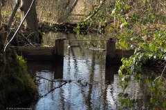 32_stuw-kreelse-plas_51902131674_l