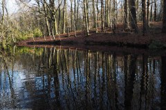 40_spiegeling001_52633727785_l