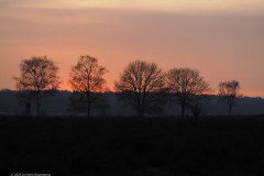 41_sunset-nieuw-reemst_52693350863_l