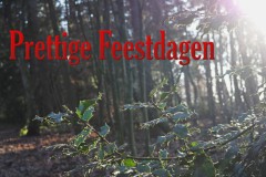 hulst#(20251224) flora