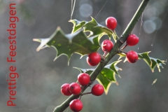 hulst#(20241130) flora