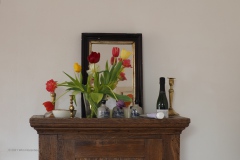 tulpen#(20210223) flora