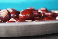 paardenkastanje#(20201006)a flora