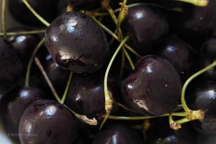 kersen#(20190723) food