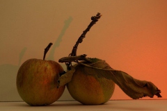 appel#(20191004)aa food