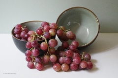 druif#(20181019) food