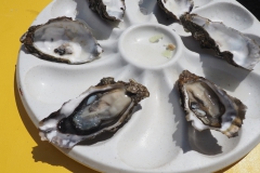 oesters#(20160608) food