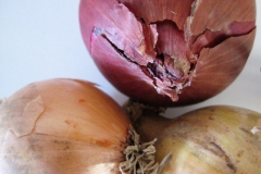 uien#(20110924) food