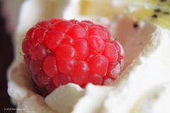 framboos#(20181002) food