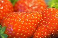 aardbei#(20180728)a