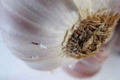 knoflook#(20110924)a food