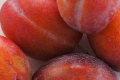 pruim#(20180825) food