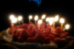 taart#(20120818) food