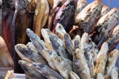 vis#(20140607) food