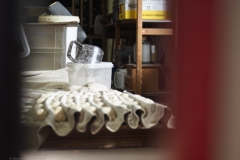 brood#(20240301)b food