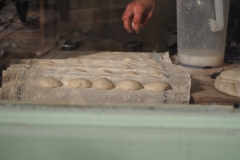 brood#(20240301)a food