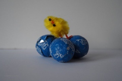 chocolade#(20200410) food