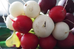 radijs#(20200414) food