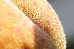 perzik#(20220712)bb food