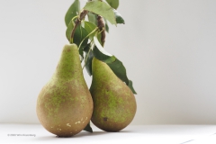 peer#(20200908)a food