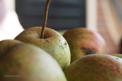 appel#(20200915)a food