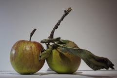 appel#(20191004)a food