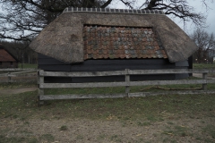 ede#(20210113)
