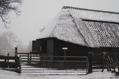 ede#(20210117)