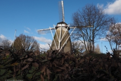 ede#(20230225) gebouwen