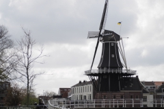haarlem#(20220408) gebouwen