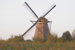 kinderdijk#(20210907)d gebouwen