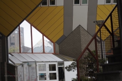 rotterdam#(20191011)f gebouwen