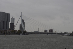 rotterdam#(20191011)a gebouwen