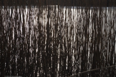 gras#(20240116) grassen