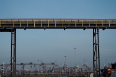 rotterdam#(20190302)bb