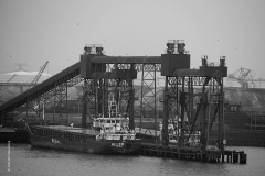 rotterdam#(20190302)e