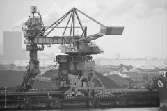 rotterdam#(20190302)f