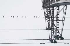 hoogspanningsmast#(20210123)ab industrie