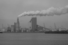 rotterdam#(20190302)b