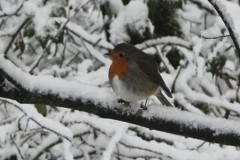 #001 2026 mooiste januari