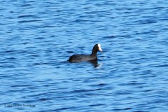 #004 2026 mooiste april