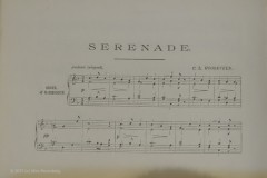 #011 2025 mooiste november