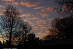 #012 2025 mooiste