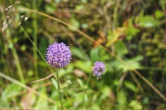 noorwegen nod_03#(20260827)f