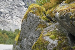 noorwegen nod_06#(20260830)e noorwegen