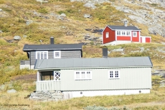 noorwegen nod_08#(20260901)a noorwegen