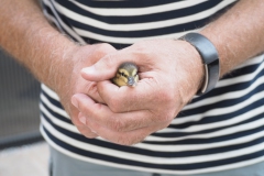 handen#(20180615) personen