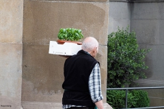 man#(20180519)