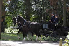 man#(20200905) personen