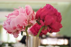 pioenroos#(20180521) rozen